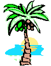 Palm Tree                                                                                                                                                                                                                                                                                                   